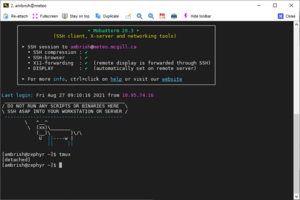 Tmux detached.png